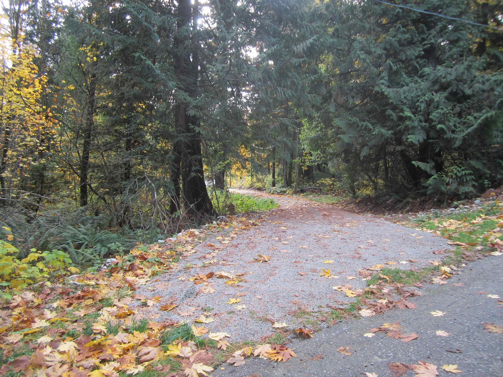 11121 Barnes Road, Mission, British Columbia  V0M 1G0 - Photo 3 - R2942293