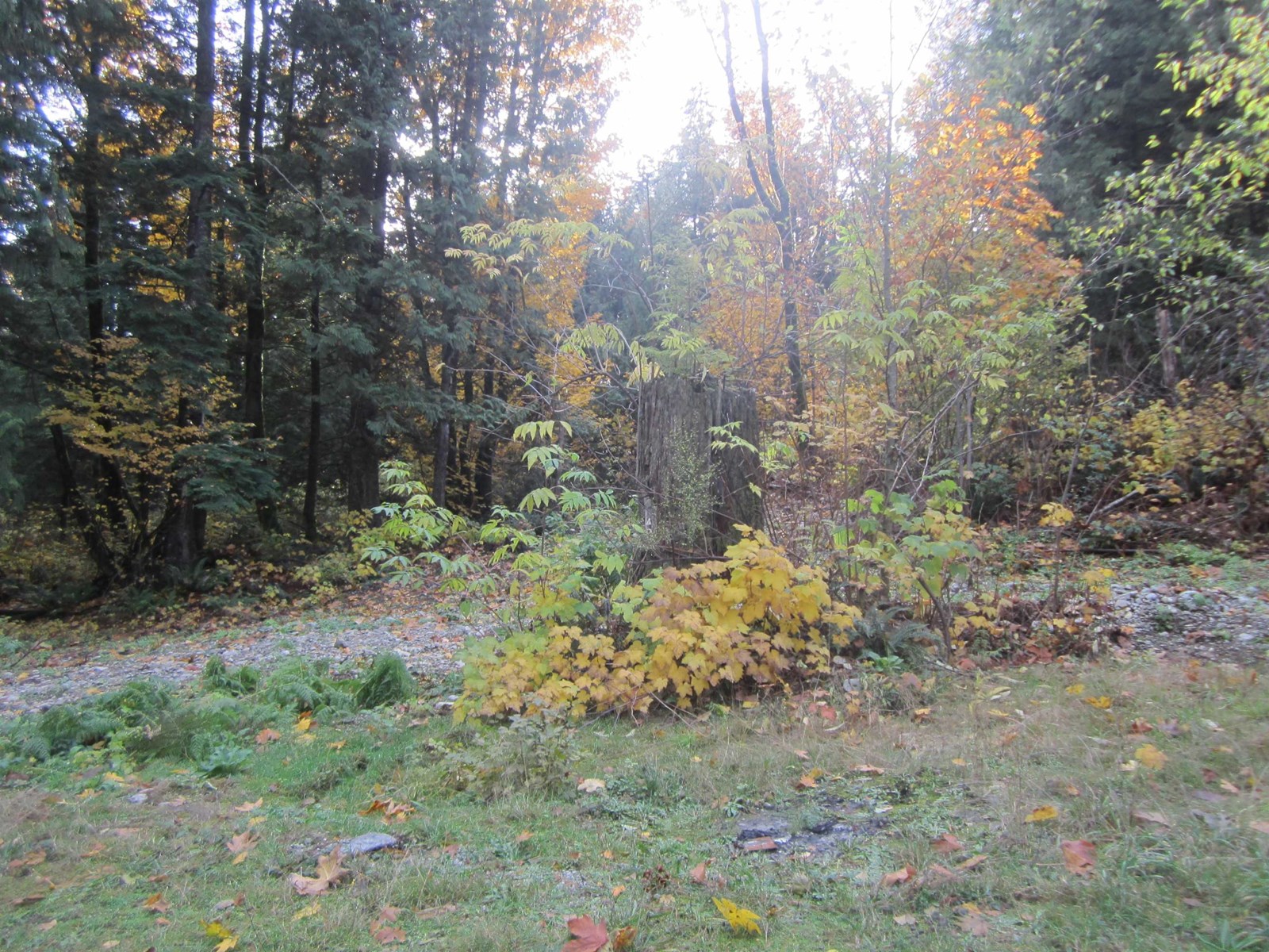 11121 Barnes Road, Mission, British Columbia  V0M 1G0 - Photo 17 - R2942293