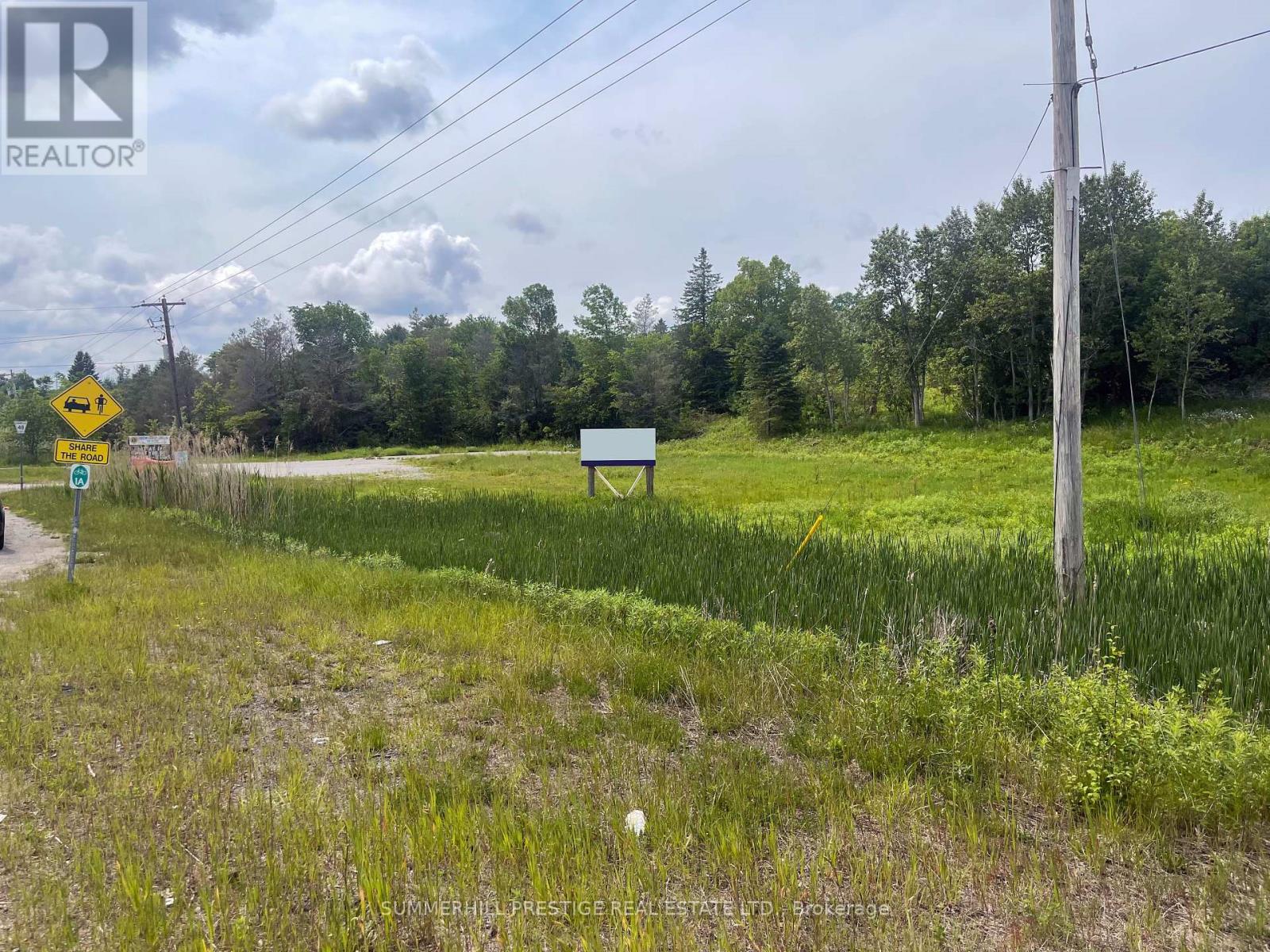 2919 County Road 48 Road, Kawartha Lakes, Ontario  K0M 1K0 - Photo 5 - X12010541