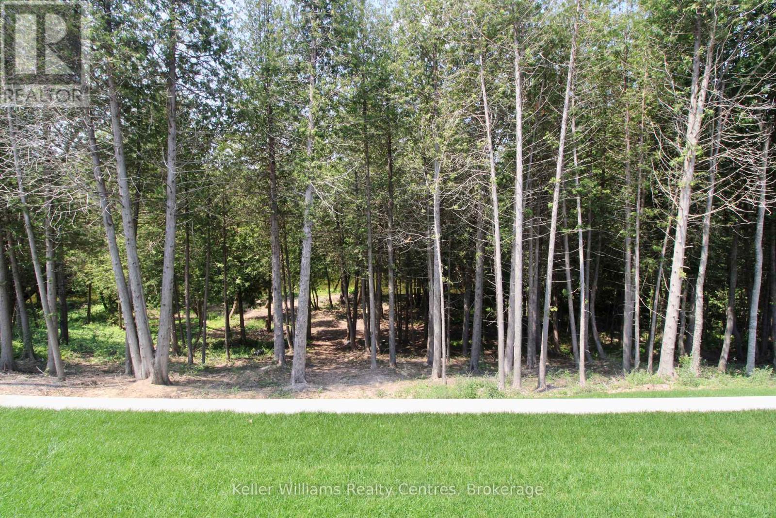 776 20th Street, Hanover, Ontario  N4N 0C5 - Photo 47 - X11966312