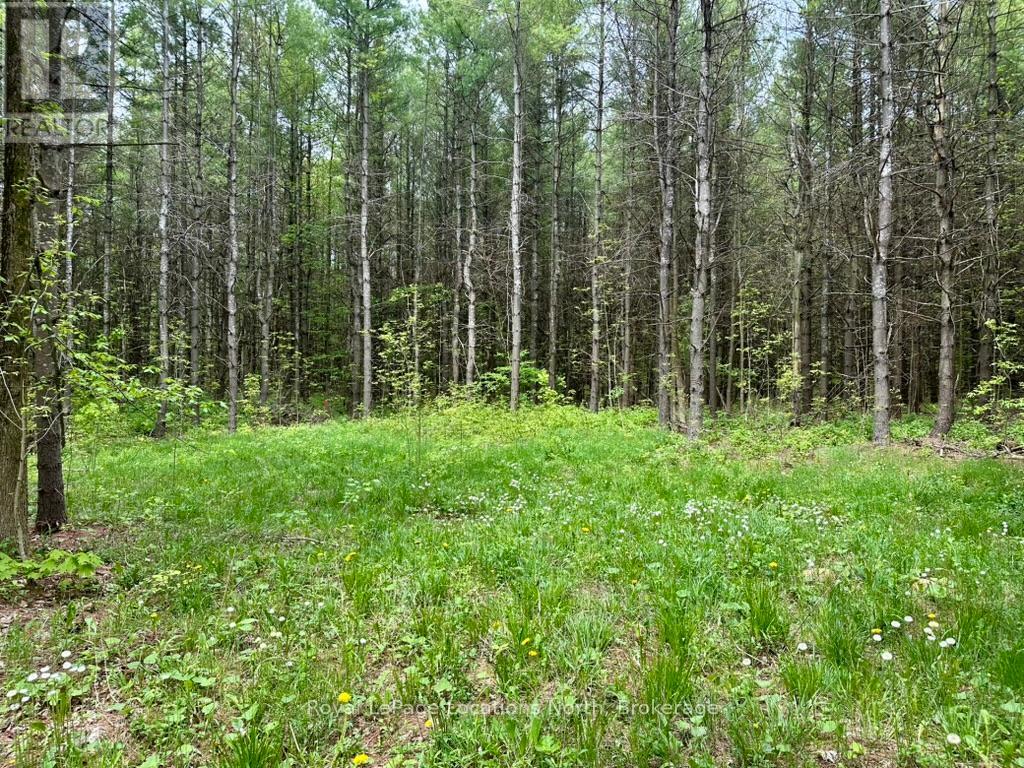 777215 Highway 10, Chatsworth, Ontario  N0H 1R0 - Photo 15 - X12251361
