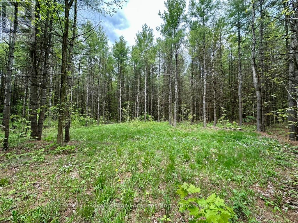 777215 Highway 10, Chatsworth, Ontario  N0H 1R0 - Photo 16 - X12251361