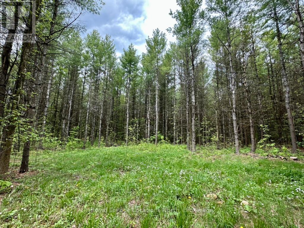 777215 Highway 10, Chatsworth, Ontario  N0H 1R0 - Photo 17 - X12251361