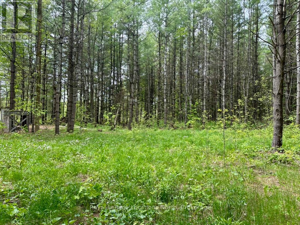 777215 Highway 10, Chatsworth, Ontario  N0H 1R0 - Photo 18 - X12251361