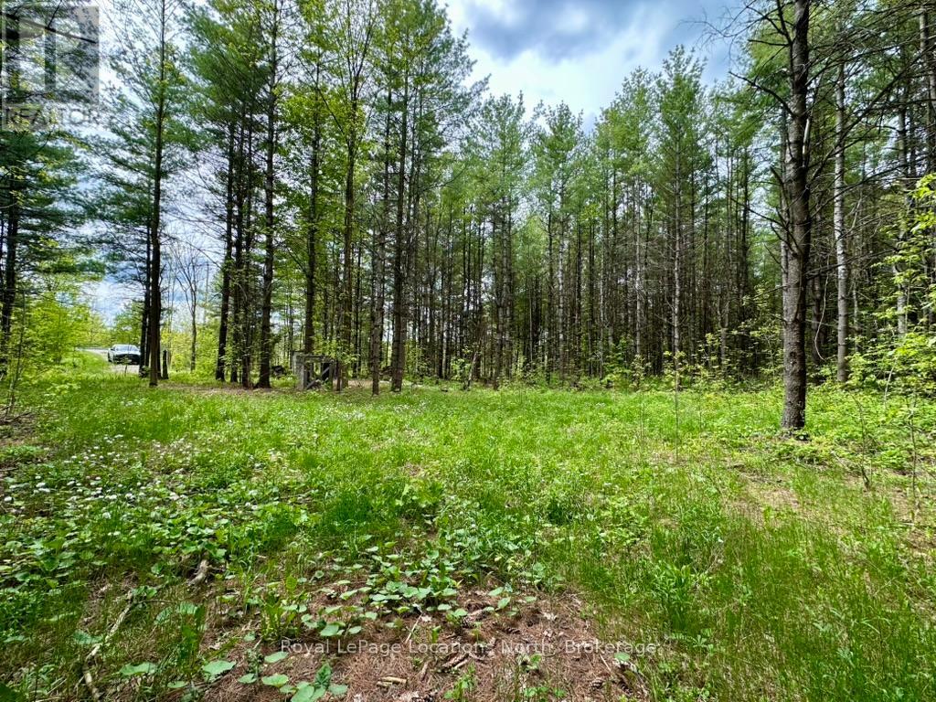 777215 Highway 10, Chatsworth, Ontario  N0H 1R0 - Photo 19 - X12251361
