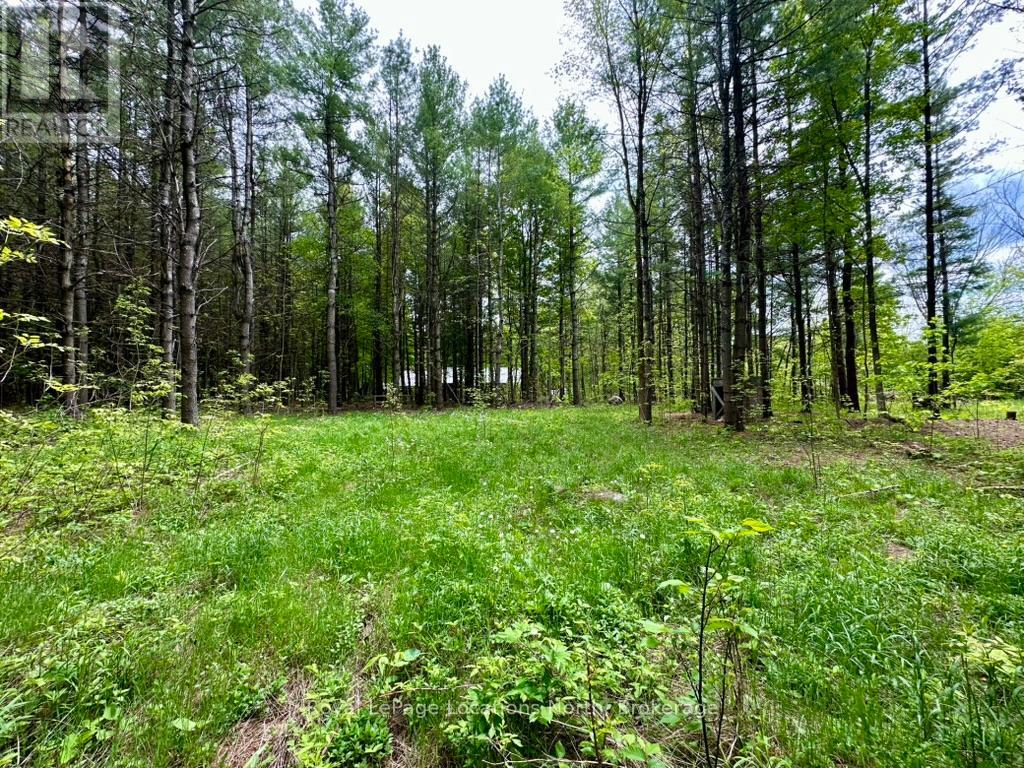 777215 Highway 10, Chatsworth, Ontario  N0H 1R0 - Photo 20 - X12251361