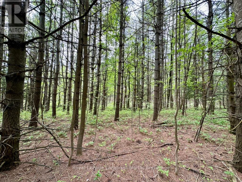 777215 Highway 10, Chatsworth, Ontario  N0H 1R0 - Photo 23 - X12251361