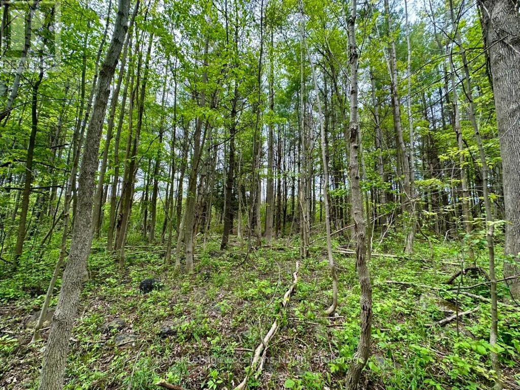 777215 Highway 10, Chatsworth, Ontario  N0H 1R0 - Photo 24 - X12251361