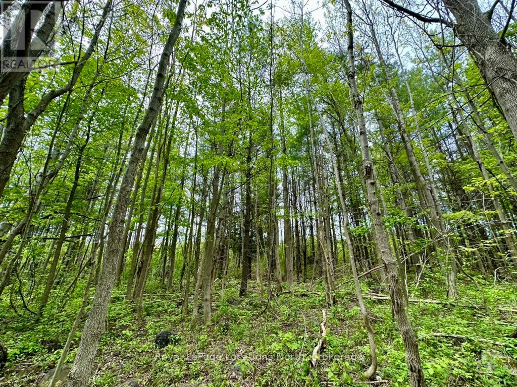 777215 Highway 10, Chatsworth, Ontario  N0H 1R0 - Photo 25 - X12251361