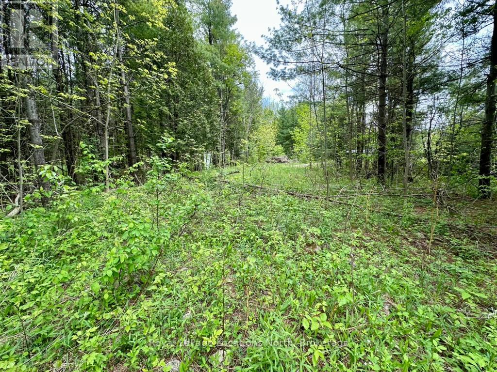 777215 Highway 10, Chatsworth, Ontario  N0H 1R0 - Photo 31 - X12251361