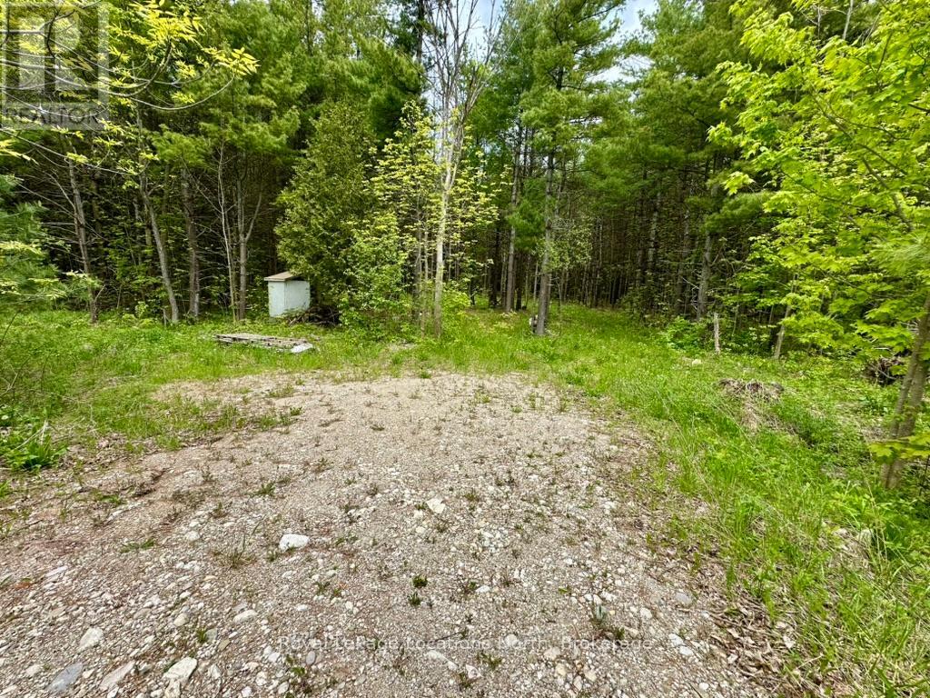777215 Highway 10, Chatsworth, Ontario  N0H 1R0 - Photo 32 - X12251361