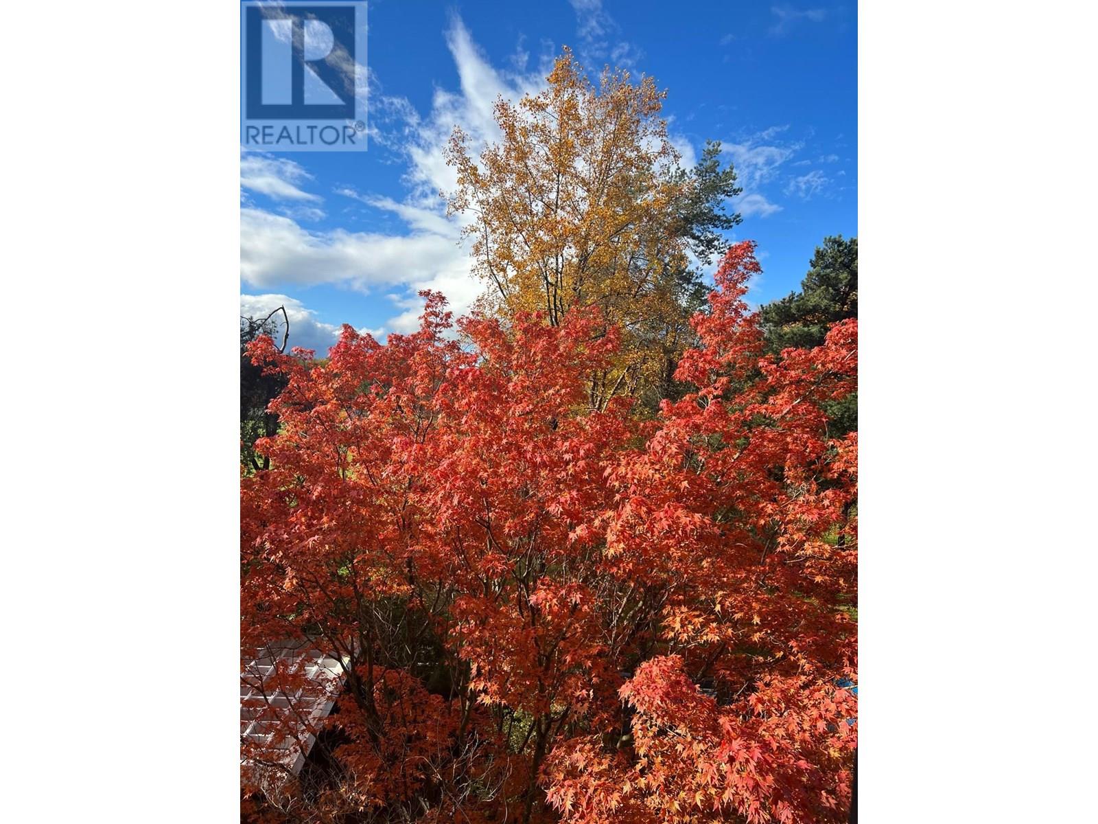 405 6611 Minoru Boulevard, Richmond, British Columbia  V6Y 1Y9 - Photo 31 - R3020159