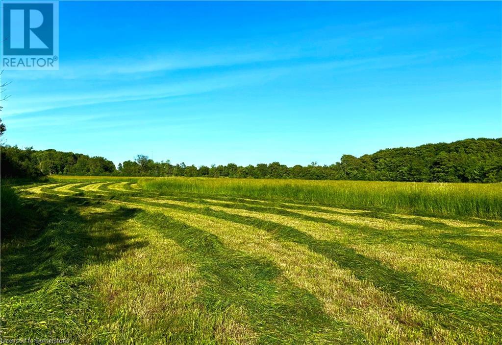 404302 Concession 20, Kemble, Ontario  N0H 1S0 - Photo 18 - 40744325