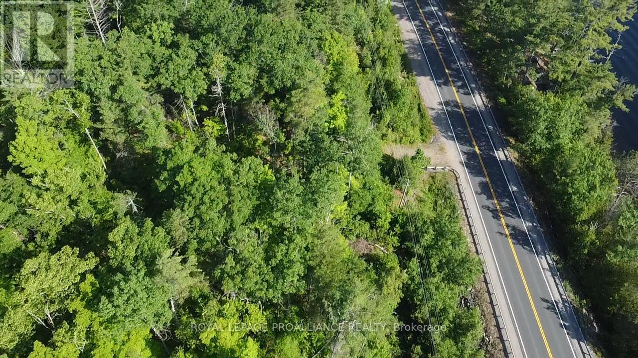 0000 Highway 41, Addington Highlands, Ontario  K0H 1K0 - Photo 8 - X12251466