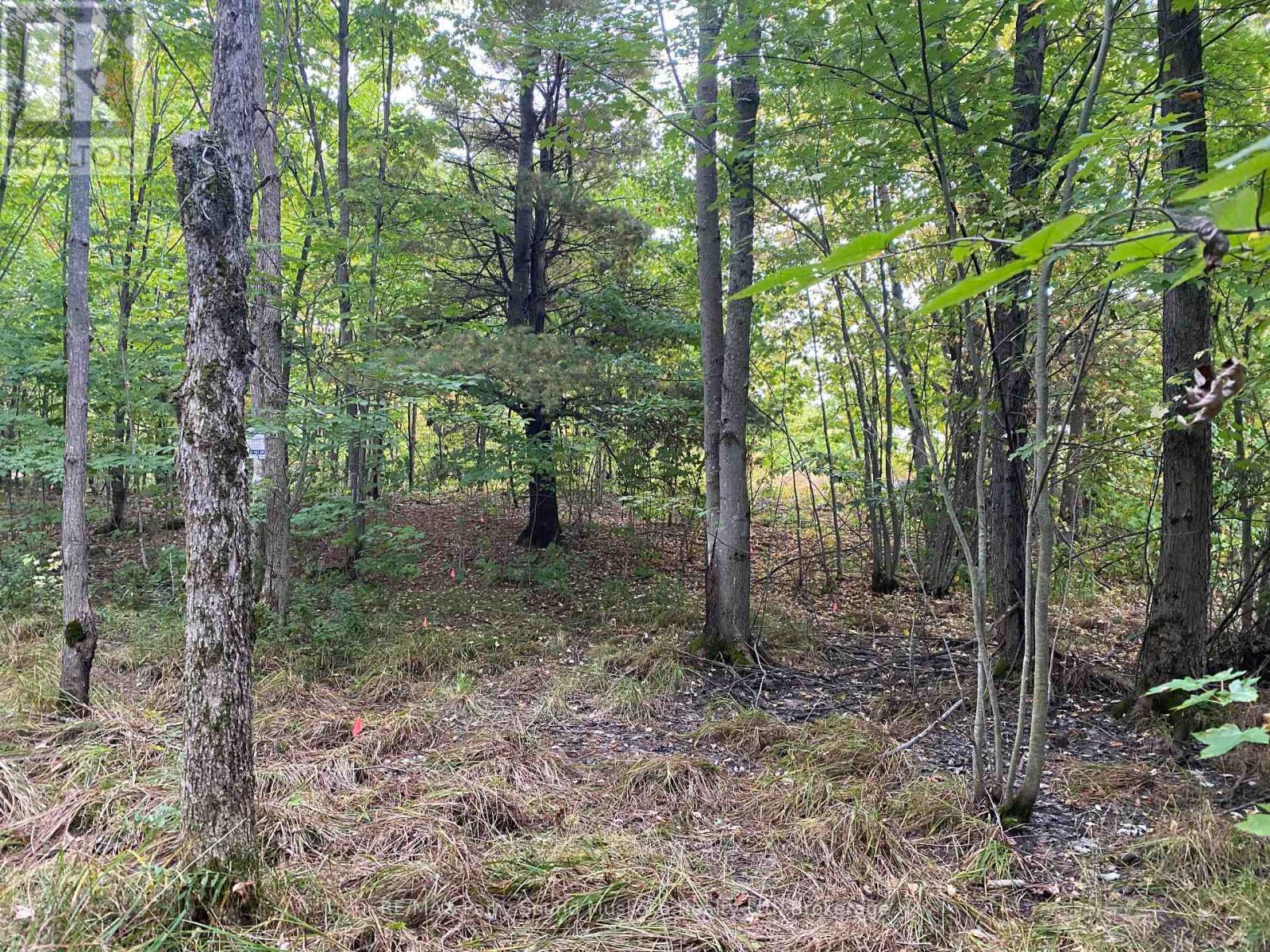 19 Turtle Lane, Mckellar, Ontario  P0G 1C0 - Photo 4 - X11998131