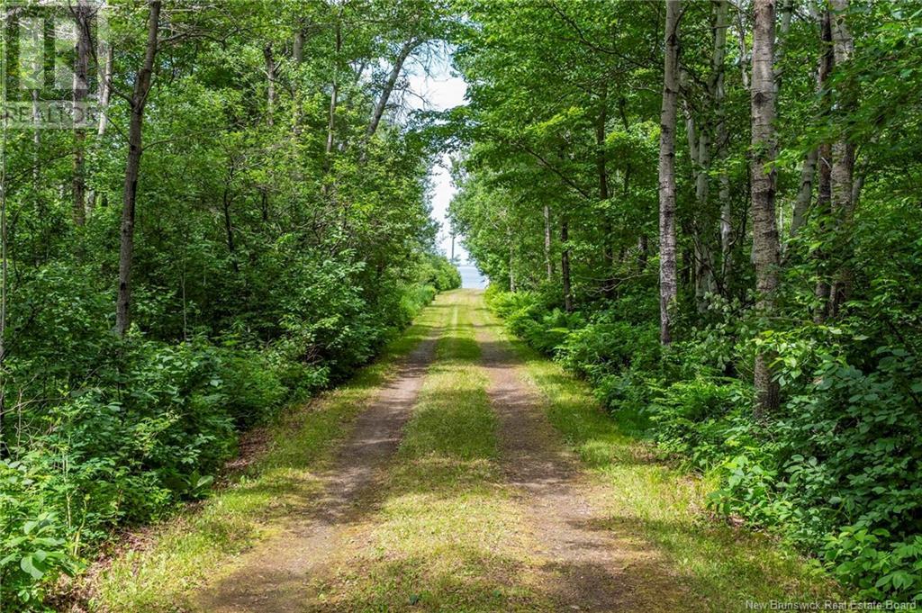 5340 117 Route, Baie-Sainte-Anne, New Brunswick  E9A 1C9 - Photo 43 - NB121319