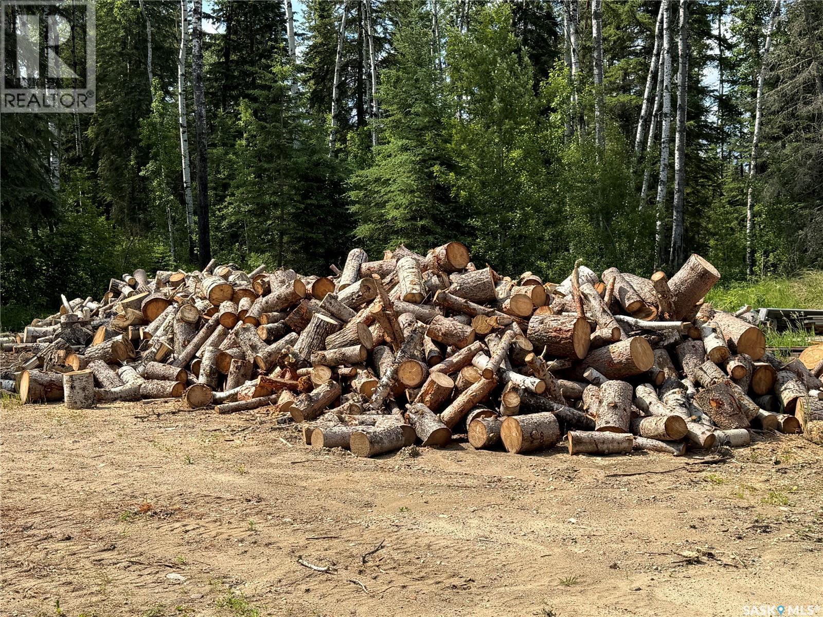 Dunham Acreage, Paddockwood Rm No. 520, Saskatchewan  S0J 0N0 - Photo 43 - SK010813