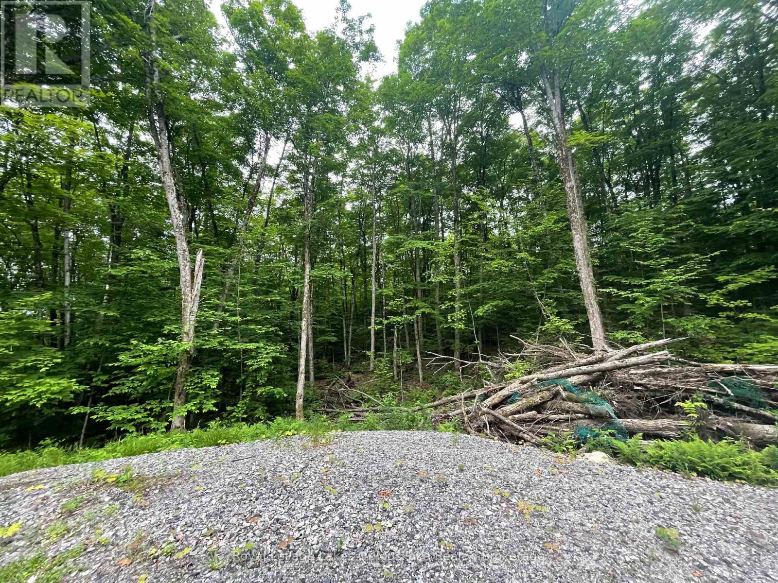Lot 29 Bay Lake Road, Perry, Ontario  P0A 1J0 - Photo 12 - X12251609