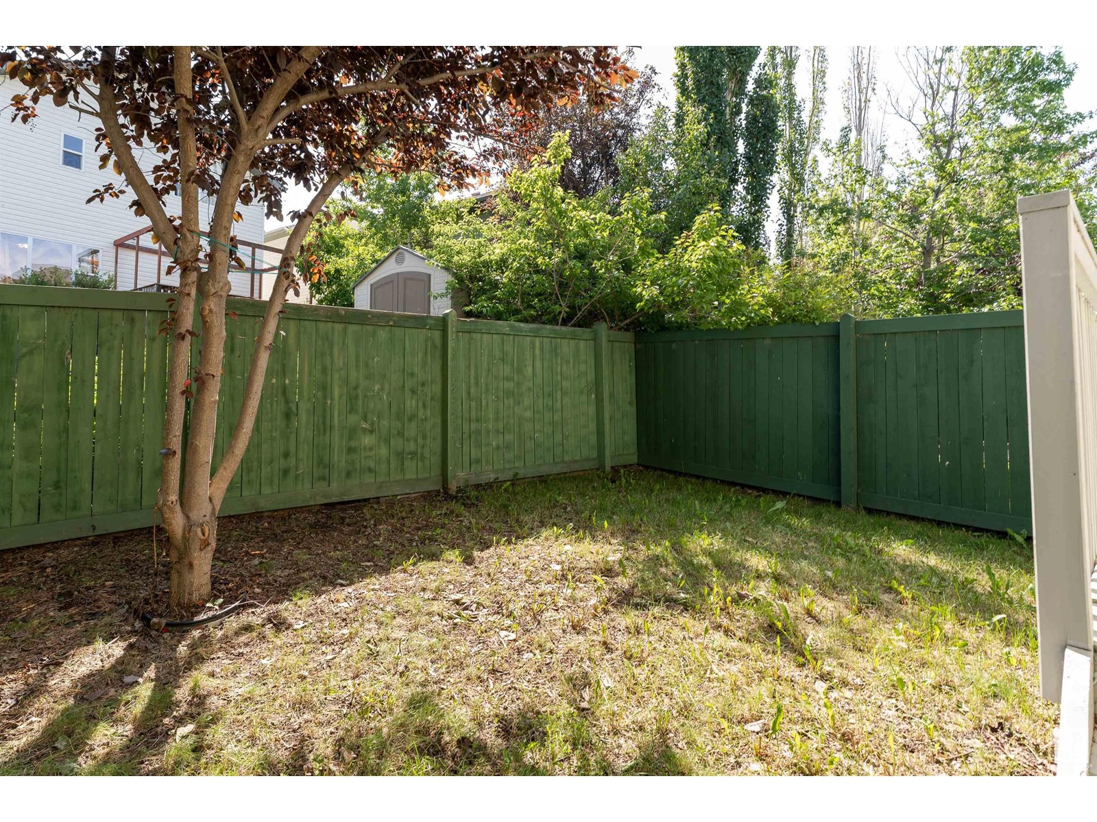 Property at #23 219 CHARLOTTE WY image 4
