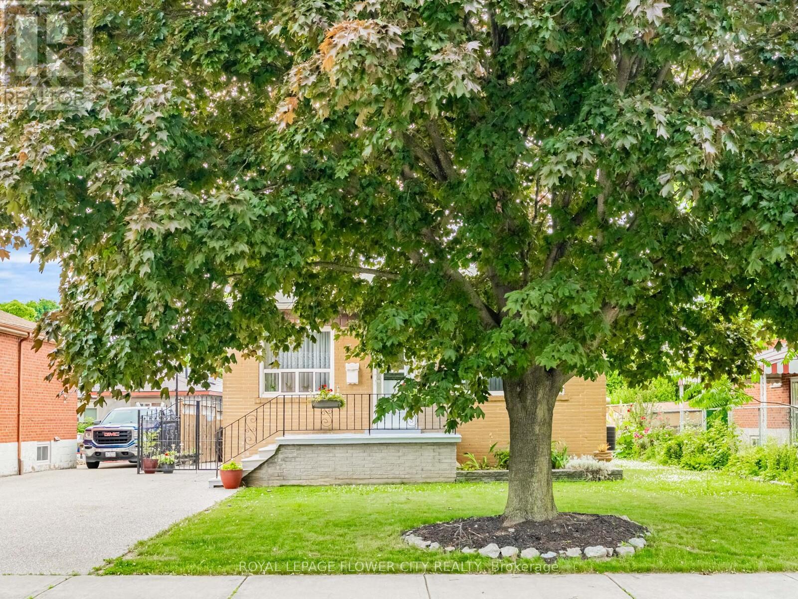 Property at 61 WISE CRESCENT image 3