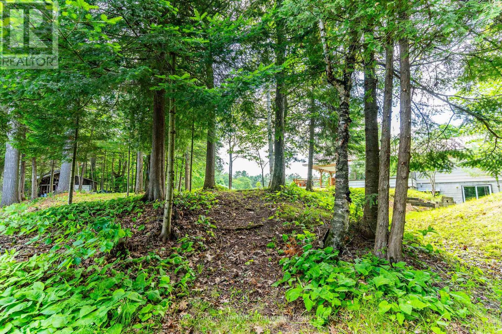 1230 North Shore Road, Algonquin Highlands, Ontario  K0M 1S0 - Photo 30 - X12250094