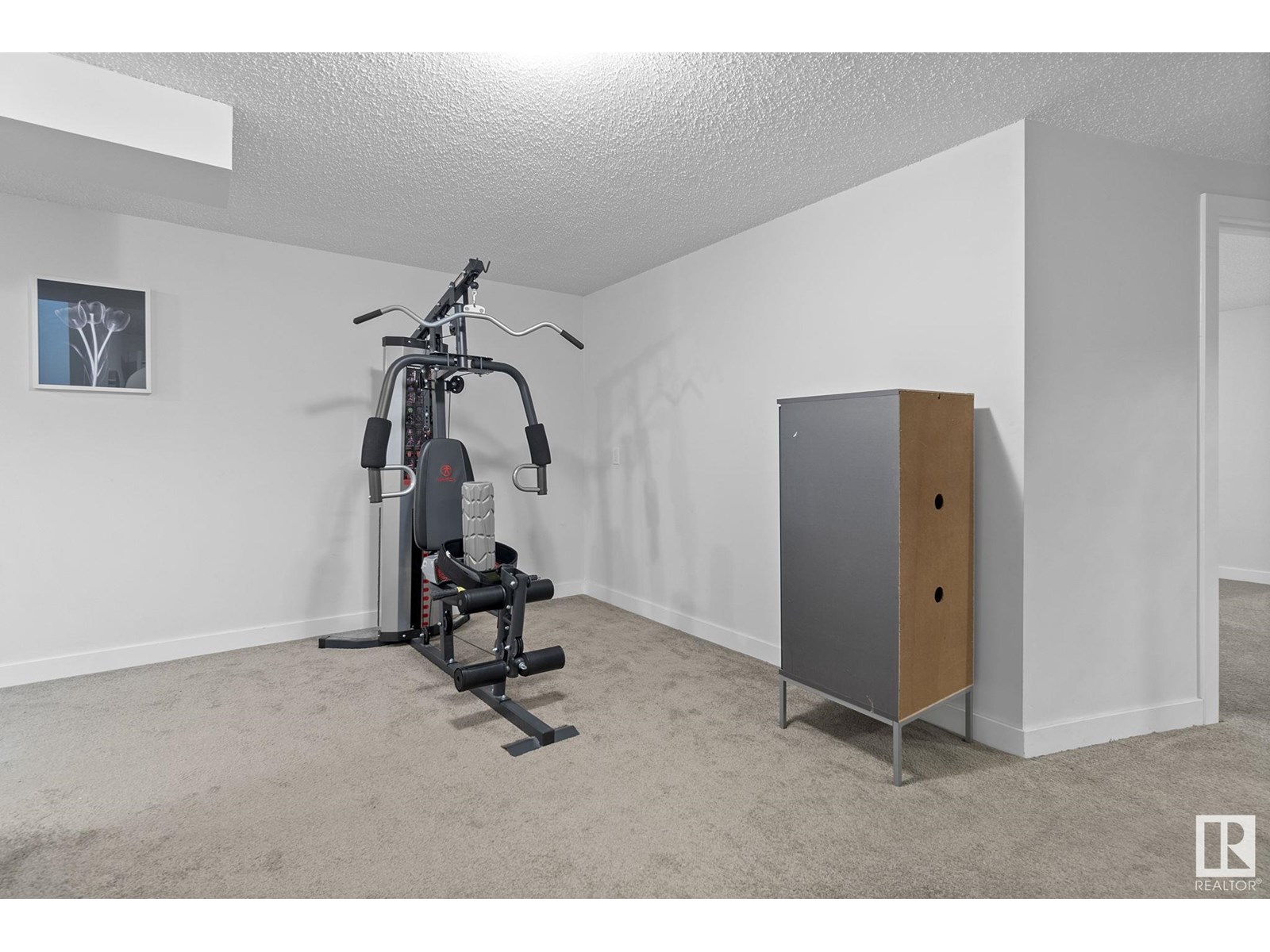 18404 66 Av Nw, Edmonton, Alberta  T5T 2M2 - Photo 46 - E4444949