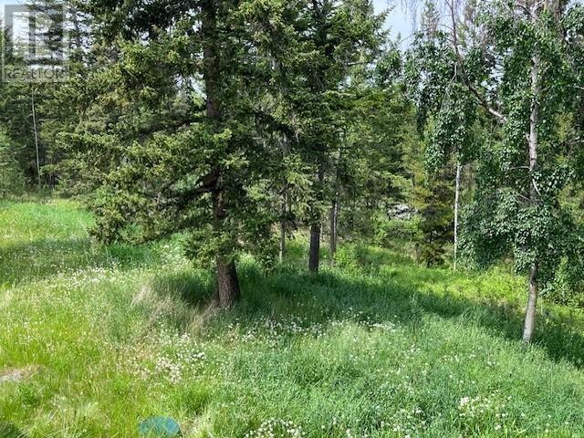 6108 Lone Butte Horse Lake Road, Lone Butte, British Columbia  V0K 1X3 - Photo 8 - R3016142