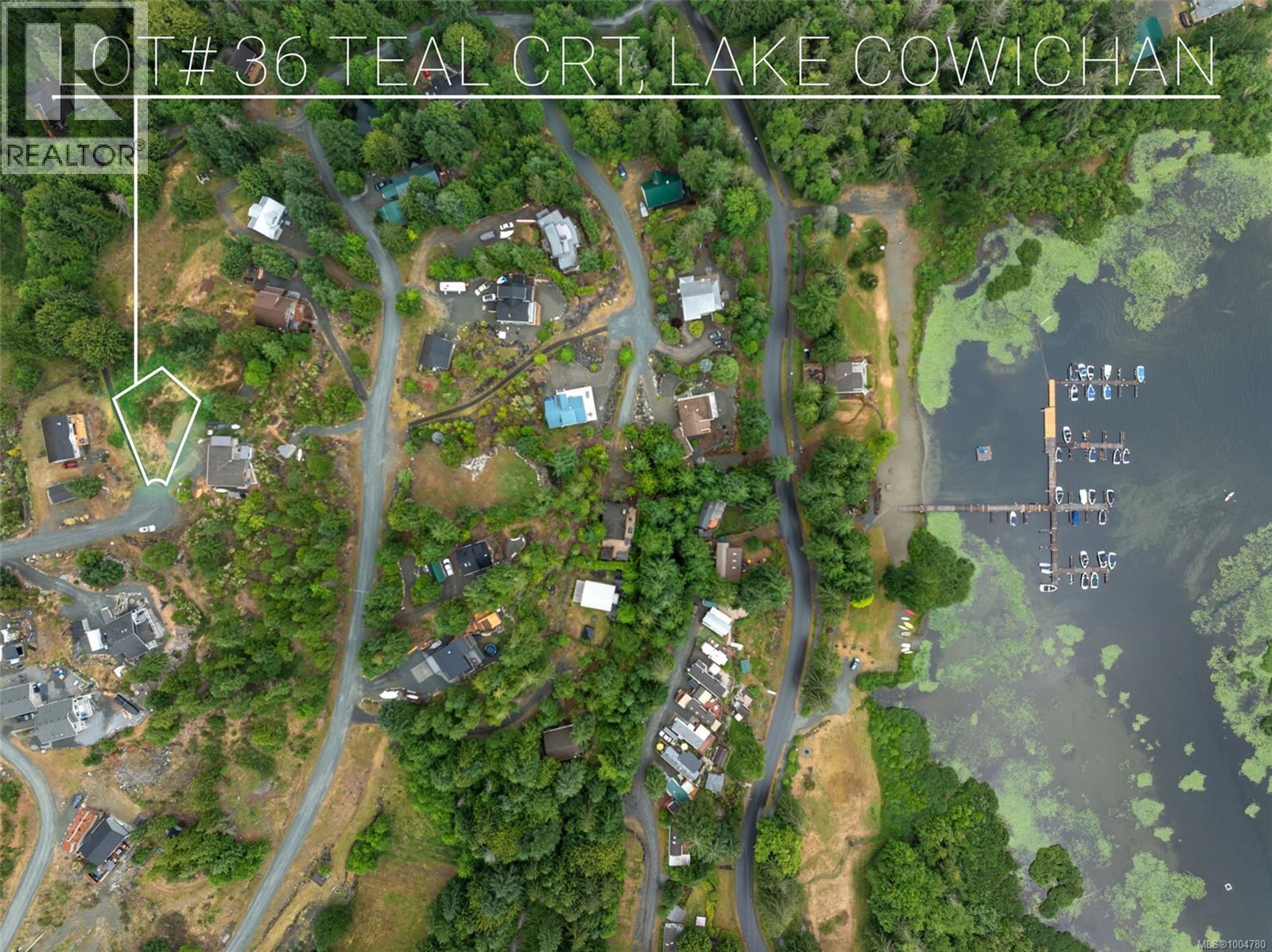 Lt36 Teal Crt, Lake Cowichan, British Columbia  V0R 2G1 - Photo 2 - 1004780