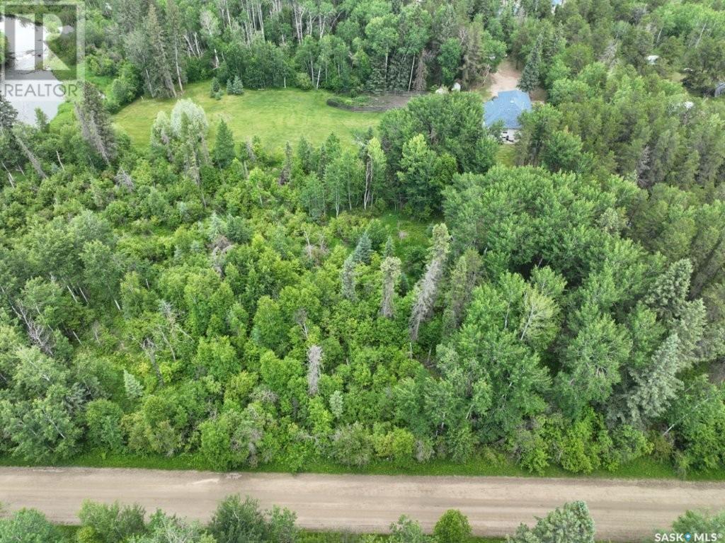1105 Halpin Place, Hudson Bay, Saskatchewan  S0E 0Y0 - Photo 49 - SK011057