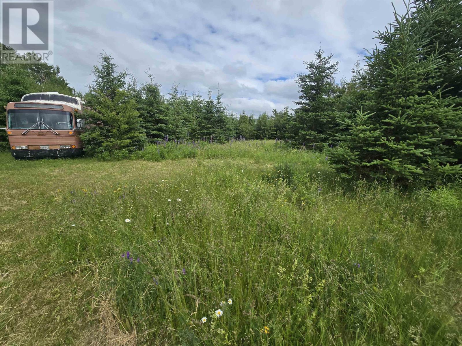 Lot 6 41 Brule Shore Road, Barrachois, Nova Scotia  B0K 1V0 - Photo 6 - 202515320