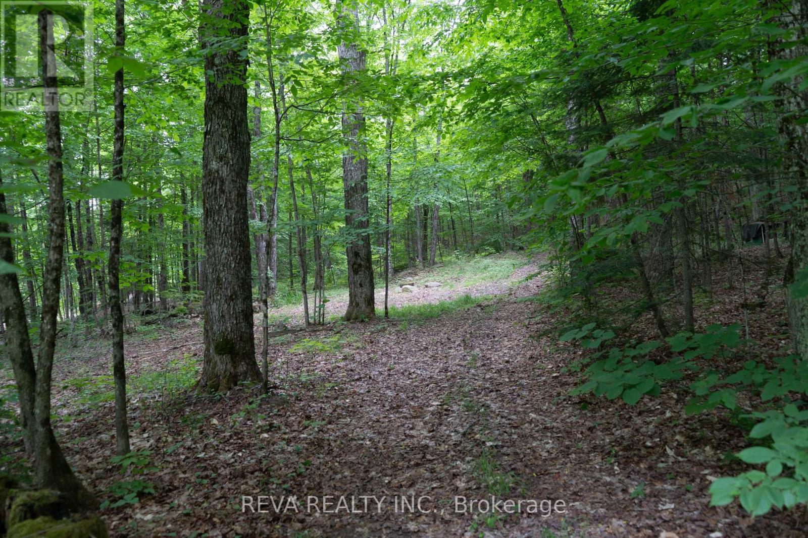 219 Elgin Road, Hastings Highlands (Mcclure Ward), Ontario  K0L 2K0 - Photo 4 - X12252060