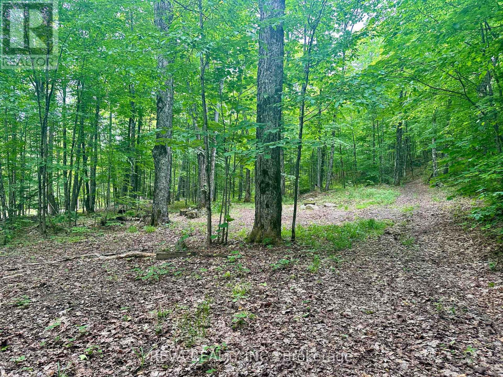 219 Elgin Road, Hastings Highlands (Mcclure Ward), Ontario  K0L 2K0 - Photo 5 - X12252060