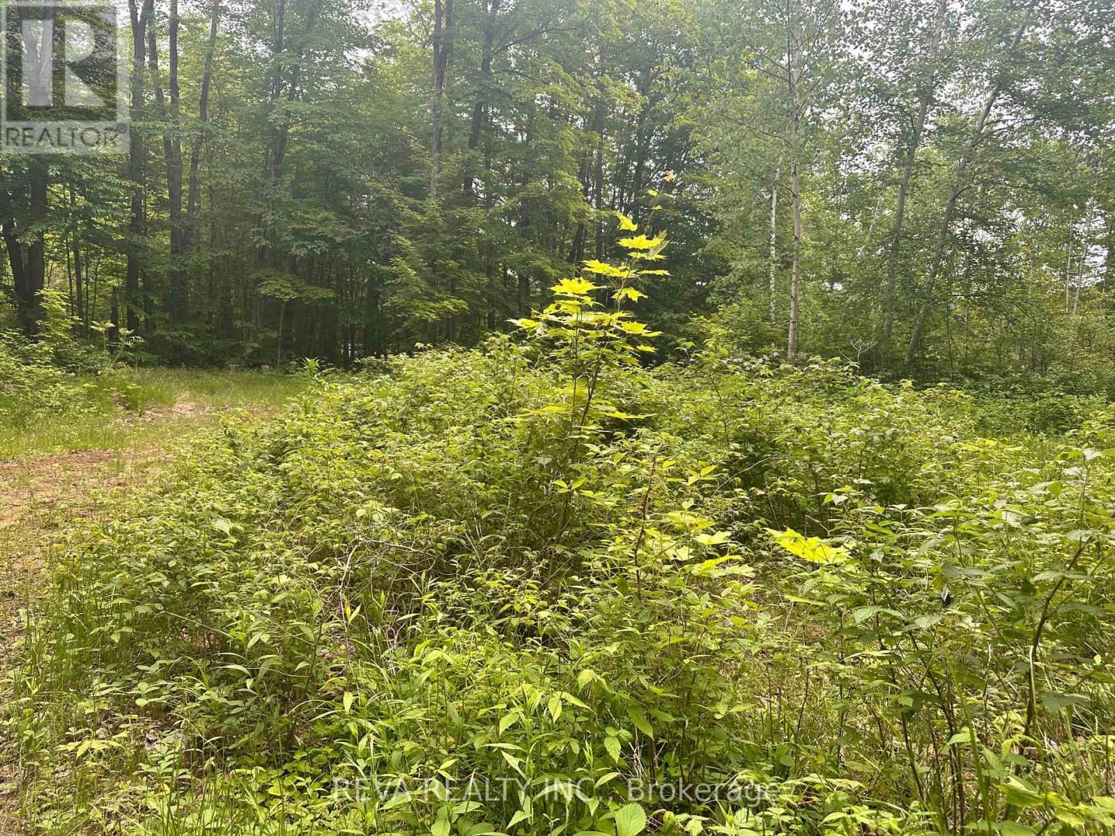 219 Elgin Road, Hastings Highlands (Mcclure Ward), Ontario  K0L 2K0 - Photo 6 - X12252060