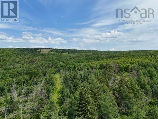 A Macleod Settlement Road, Upper Southwest Mabou, Nova Scotia  B0E 2W0 - Photo 10 - 202515643