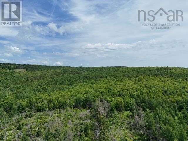 A Macleod Settlement Road, Upper Southwest Mabou, Nova Scotia  B0E 2W0 - Photo 12 - 202515643