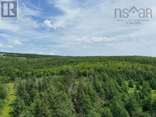 A Macleod Settlement Road, Upper Southwest Mabou, Nova Scotia  B0E 2W0 - Photo 5 - 202515643