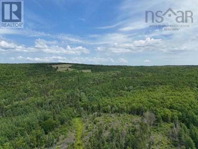 A Macleod Settlement Road, Upper Southwest Mabou, Nova Scotia  B0E 2W0 - Photo 9 - 202515643