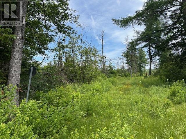 A Macleod Settlement Road, Upper Southwest Mabou, Nova Scotia  B0E 2W0 - Photo 2 - 202515643