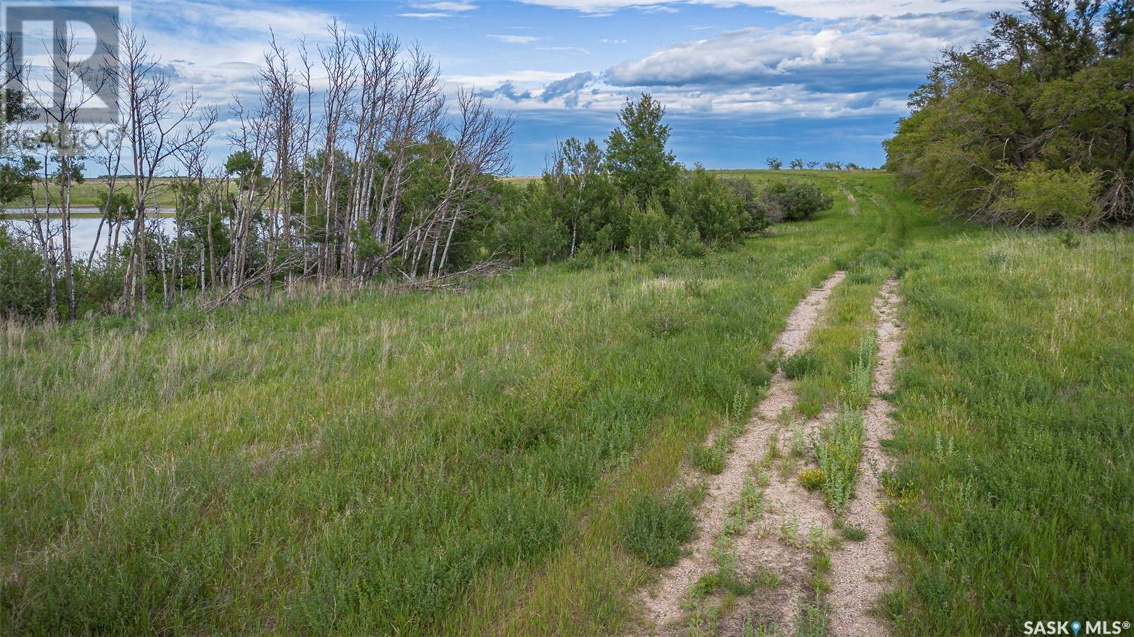 Lane Acreage Land, Lost River Rm No. 313, Saskatchewan  S0K 0P0 - Photo 5 - SK006523
