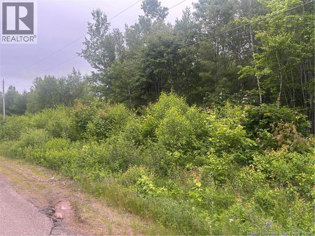 09-1 Rte 105, Whites Cove, New Brunswick  E4C 3K8 - Photo 4 - NB121720