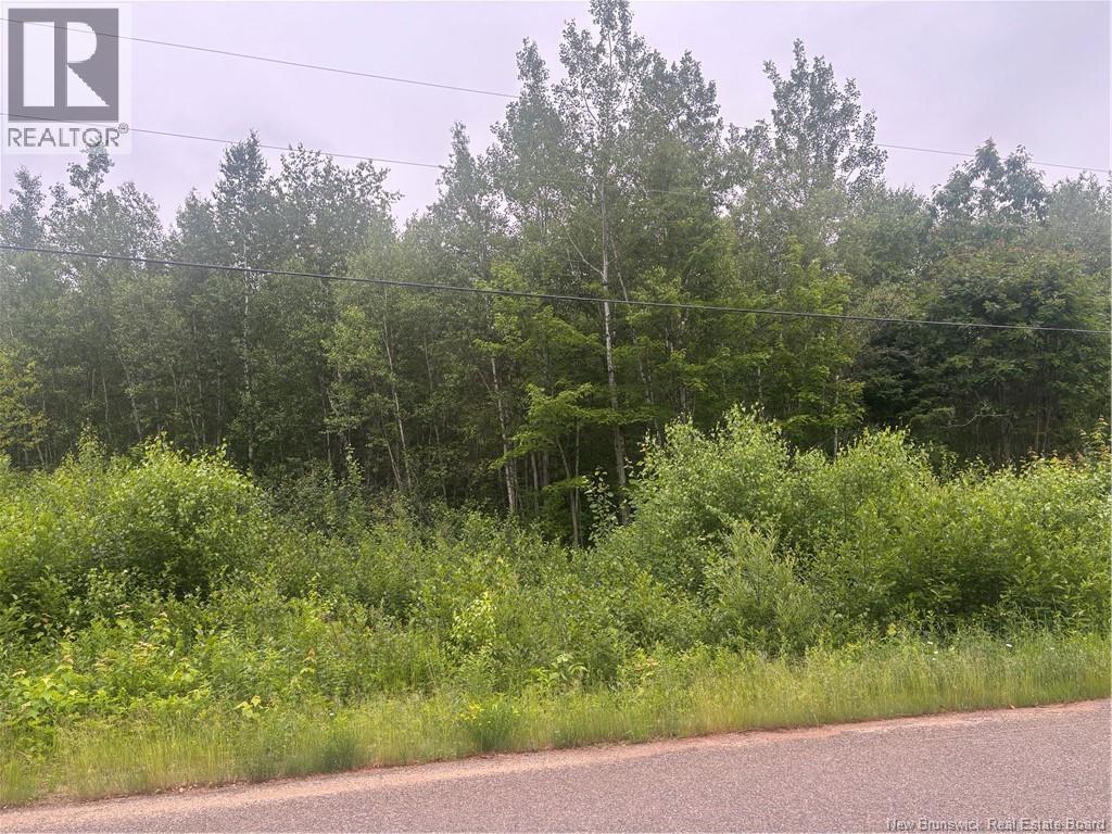 09-1 Rte 105, Whites Cove, New Brunswick  E4C 3K8 - Photo 5 - NB121720