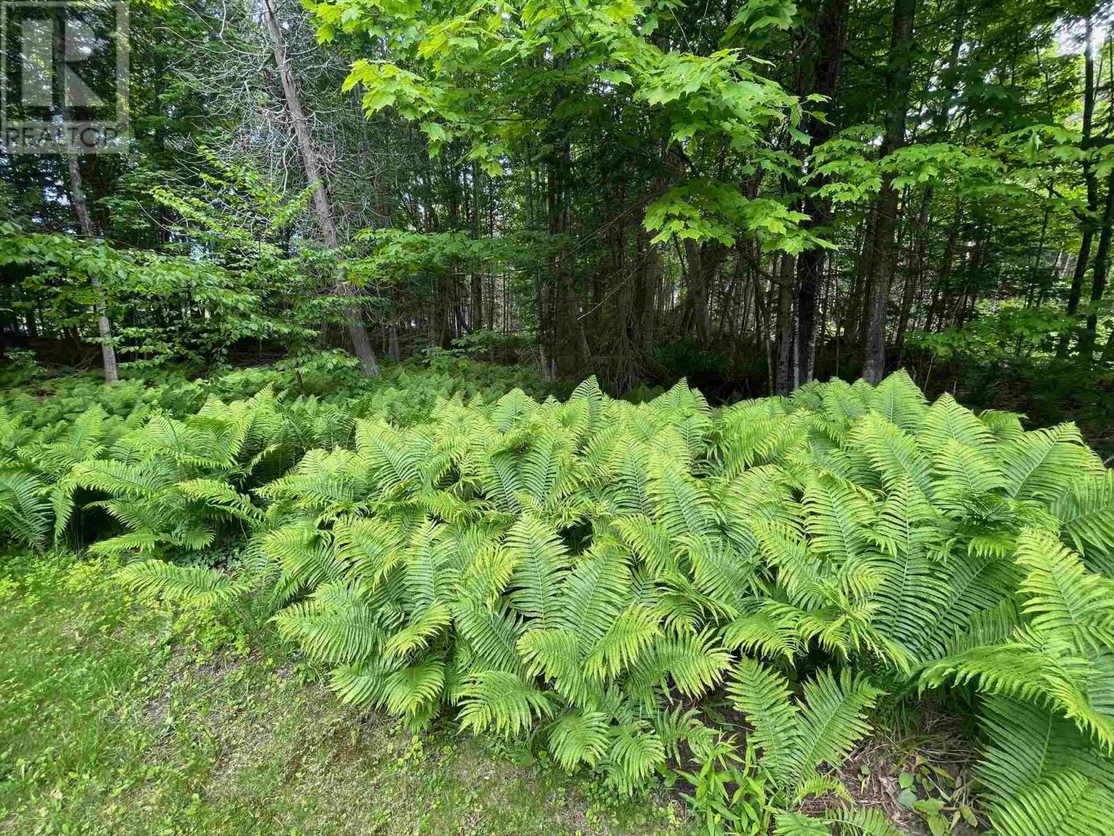 98 Whispering Pines, Batchewana, Ontario  P0S 1A0 - Photo 30 - SM251637