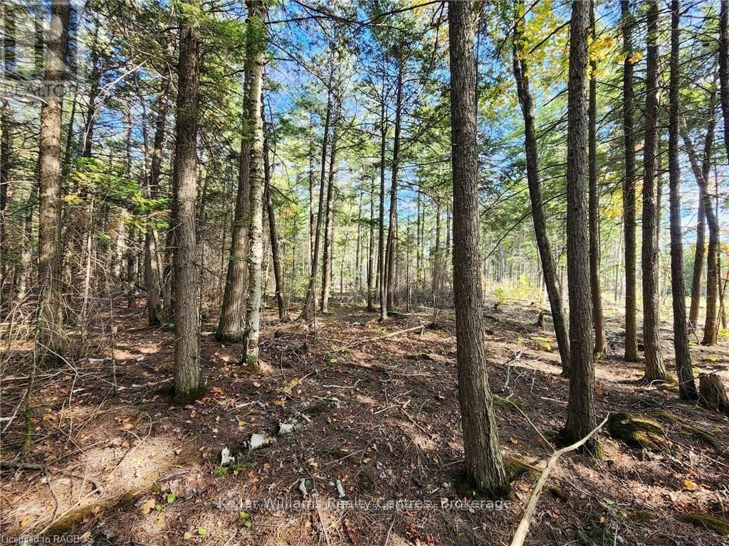 126 Quarry Road, South Bruce Peninsula, Ontario  N0H 2T0 - Photo 13 - X12252263