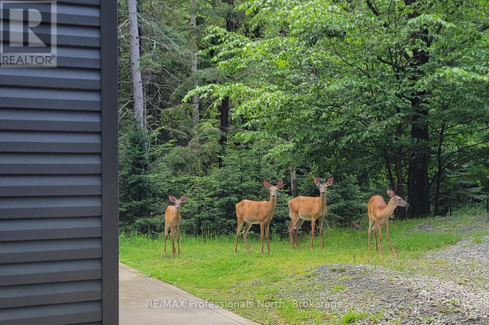 504 South Waseosa Lake Road, Huntsville, Ontario  P1H 2N5 - Photo 46 - X12249335