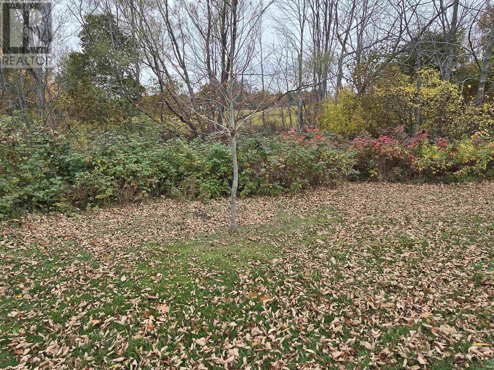 25-1 Weir Avenue, Stellarton, Nova Scotia  B0K 1S0 - Photo 2 - 202516076