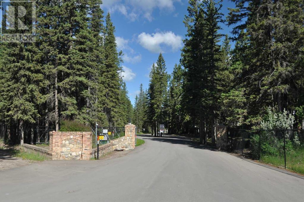 33 Timber Lane, Sundre, Alberta  T0M 1X0 - Photo 35 - A2195559