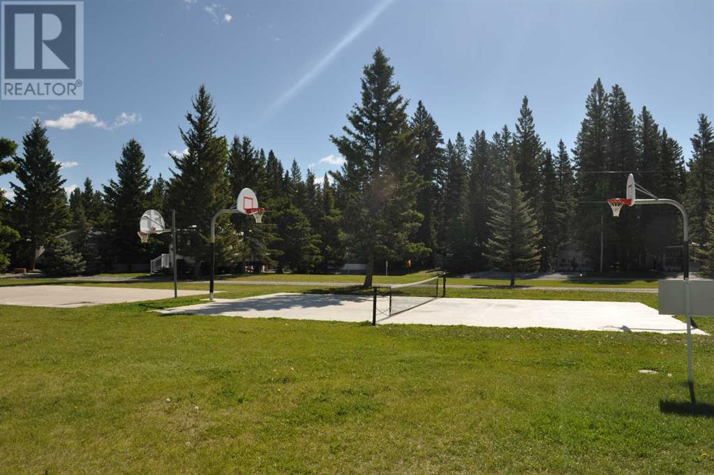 33 Timber Lane, Sundre, Alberta  T0M 1X0 - Photo 31 - A2195559
