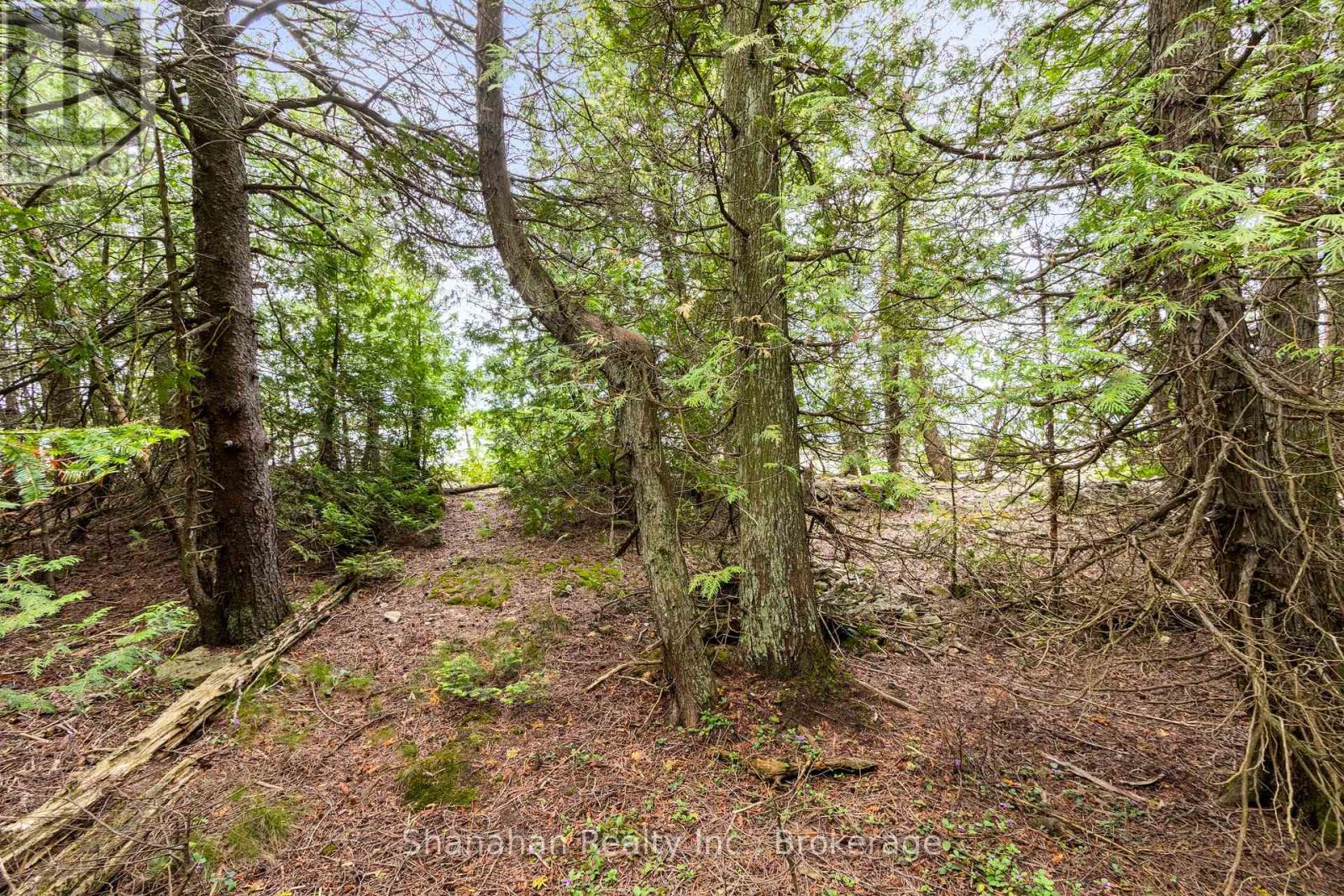 0 Larson Cove Rd. N Road, Northern Bruce Peninsula, Ontario  N0H 1Z0 - Photo 19 - X12252584