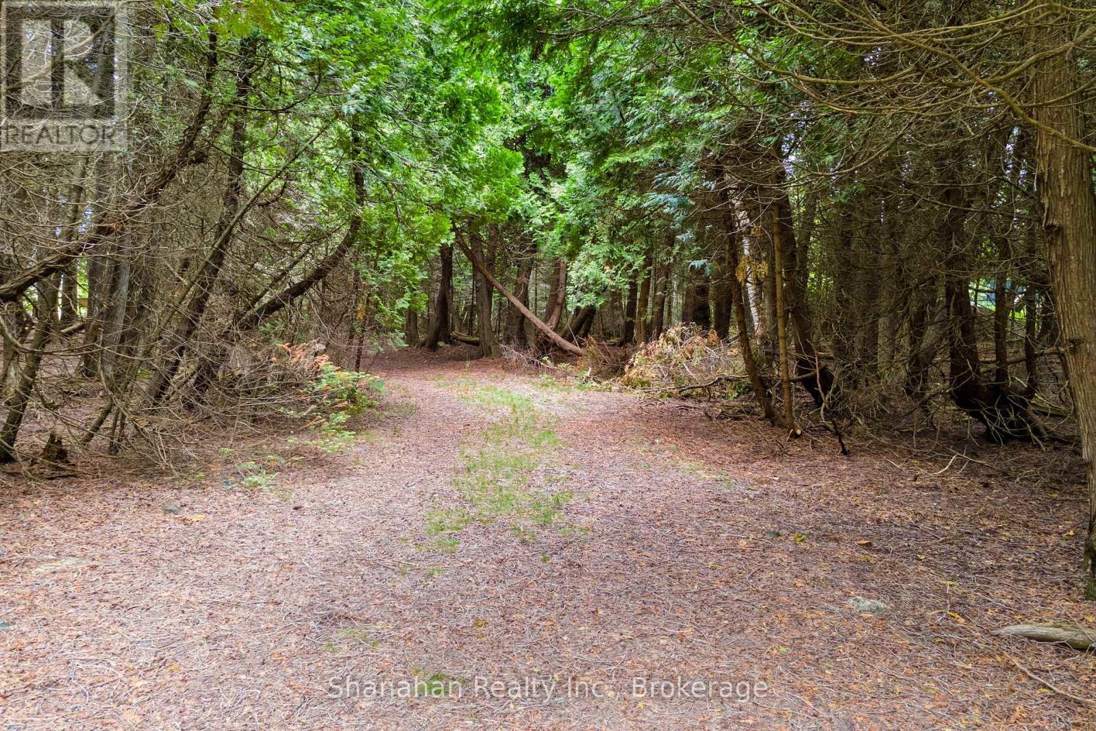 0 Larson Cove Rd. N Road, Northern Bruce Peninsula, Ontario  N0H 1Z0 - Photo 6 - X12252584