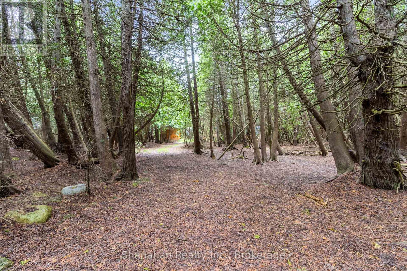 0 Larson Cove Rd. N Road, Northern Bruce Peninsula, Ontario  N0H 1Z0 - Photo 8 - X12252584